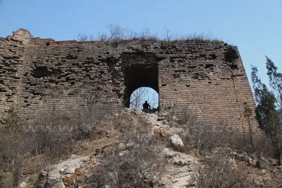 The path leading to the entrance to the Wild City is overgrown and crumbling