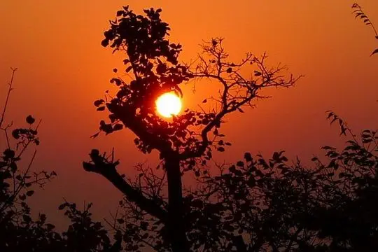 Sunrise Glow over Fragrant Hills Park in Beijing