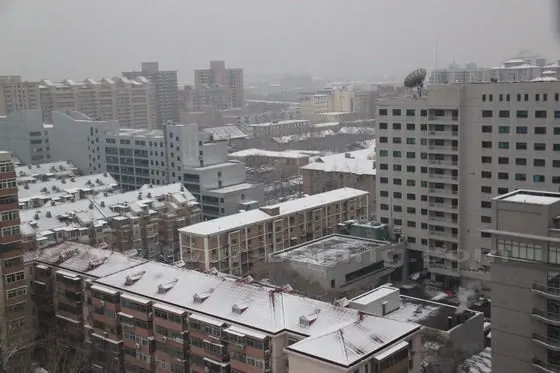 The snow lightly coated buildings