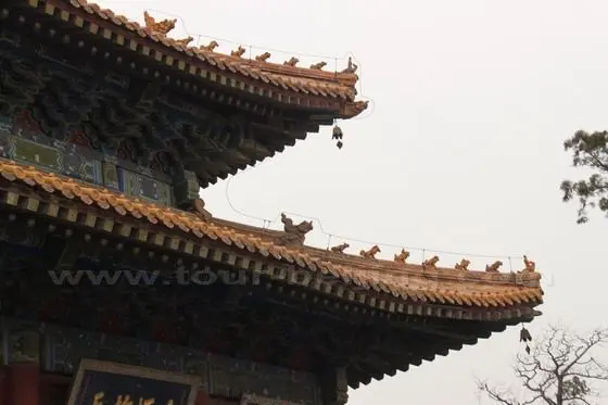 The splendidly built eaves with mythical animals