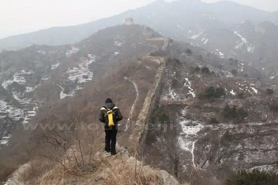 The surface of the wall is teemed with bushes and saplings