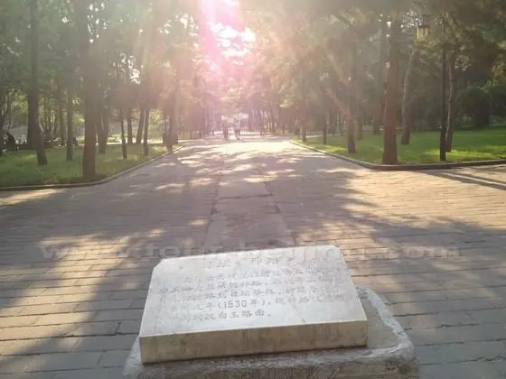 This is the Sacred Way where the emperors walked to the Sun Altar.