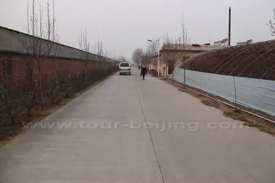 This is the main road in Tianyi Strawberry Garden