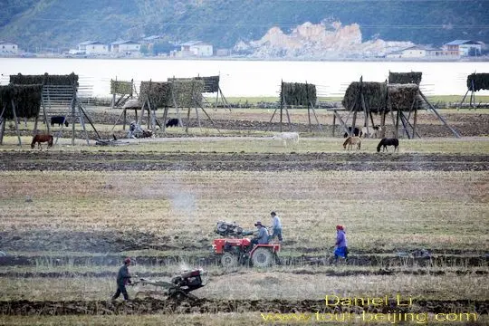 Tibetan farmers