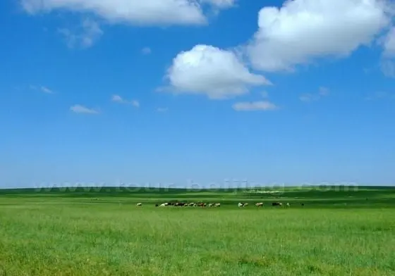 Grassland in West Ujimqin Banner (Tips, Photos & Map)