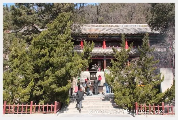 Tanzhe Temple (Tips, Photos & Map)