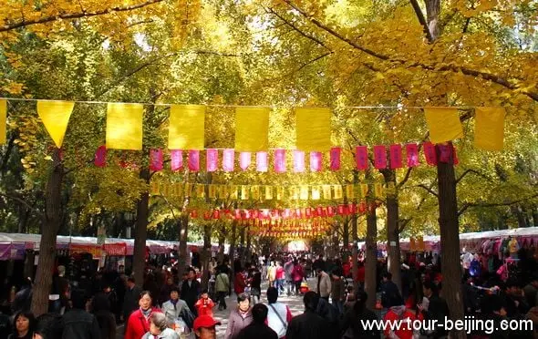 Best Places to See Fall Foliage in Beijing (Tips, Photos & Map)
