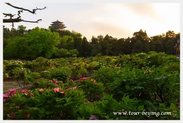 Visit Beijing in April