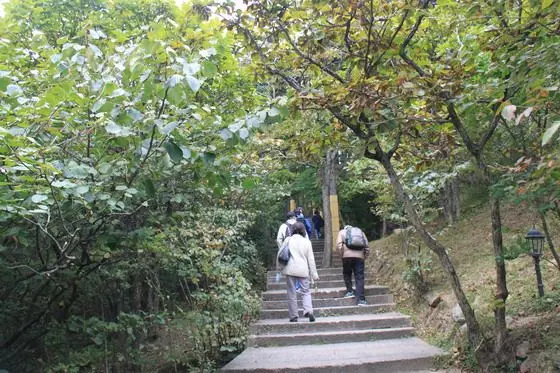 My Second Day on Mount Huangshan (1)