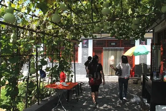 Walking under the sun shelter formed by vigorous gourd vines.