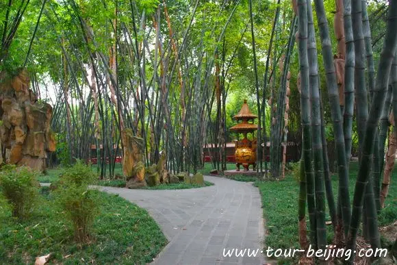 How to Visit Wangjiang Pavilion Park in Chengdu