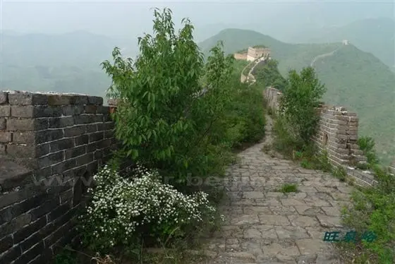 Wangquanmen is green and colorful 1