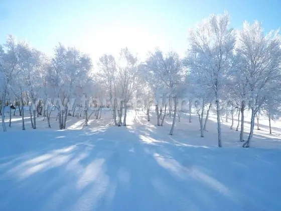 Beijing Ski Resorts Review