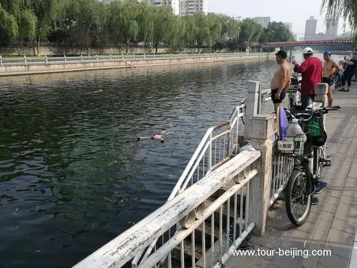Beijing Moat, a good place for Swimming