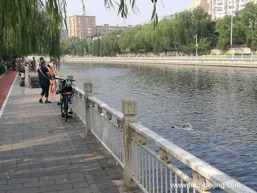 Beijing Moat, a good place for Swimming
