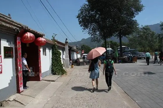 We are looking for a household to prepare Tofu Feast lunch for us.