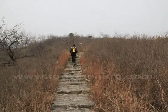 We choose the right path up to the Wall.