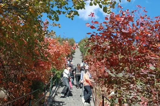 We got off at the slide station in the middle on the foot of the village and continue to climb up.