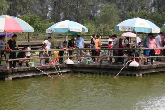 What are they doing. Fishing, No!