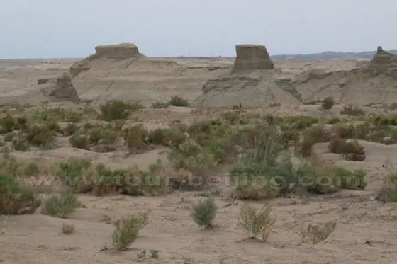 What do these small hills look like, Ha!