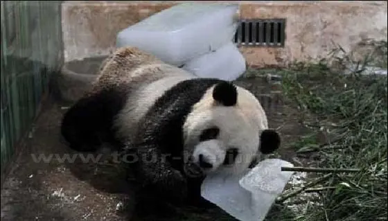 Wuhan Zoo