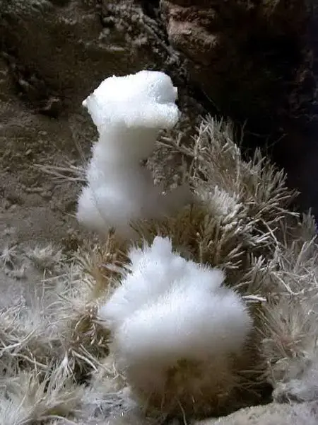 Yinhu Cave ( Silver Fox Cave)