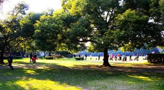 Zhongshan Park