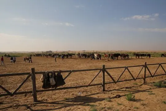 a horse riding district