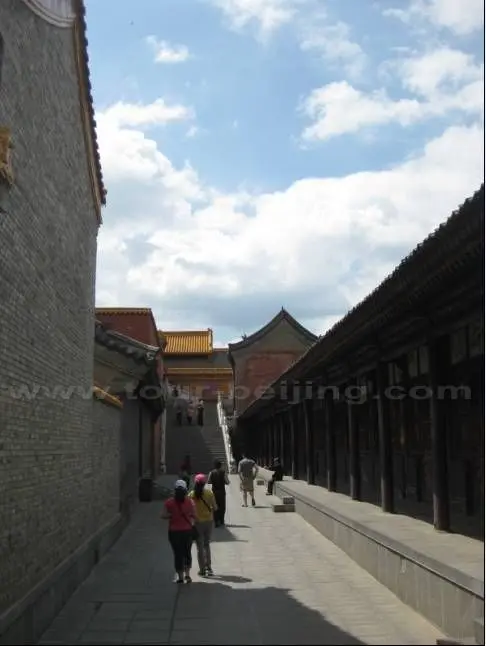 Walking in a maze of temples.