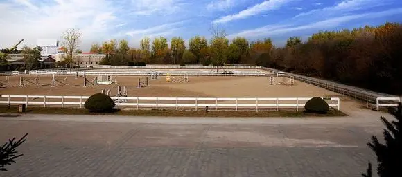 Equestrian Clubs in Beijing (Tips, Photos)
