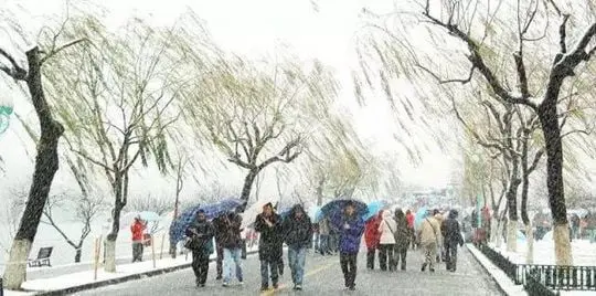 Braving the snow along Bai Causeway
