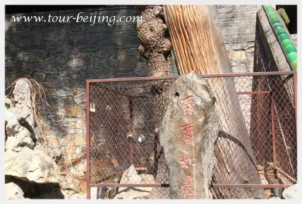 Tanzhe Temple (Tips, Photos & Map)