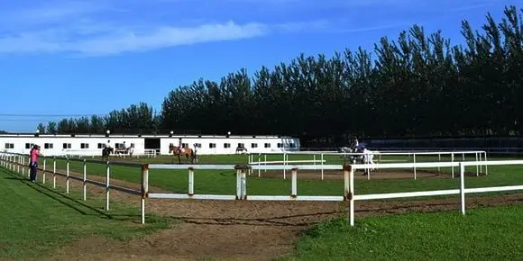 Equestrian Clubs in Beijing (Tips, Photos)