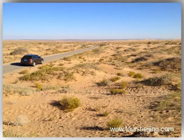 Driving through the barren and sandy desert with limited vegetation