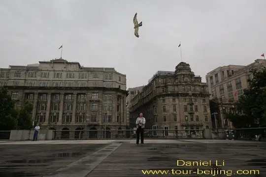 Flying an eagle-like kite.