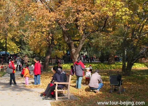 Best Places to See Fall Foliage in Beijing (Tips, Photos & Map)