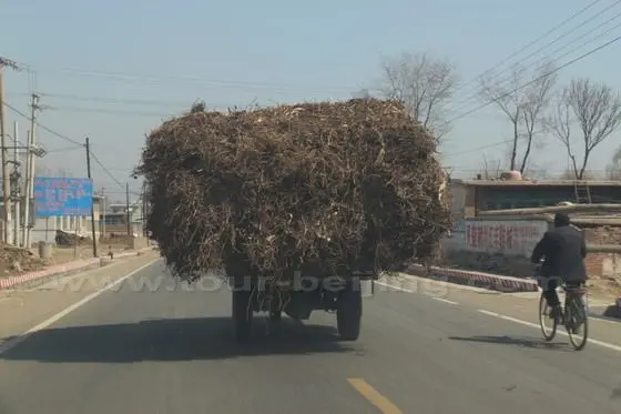 farmer