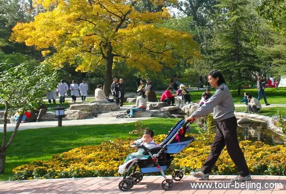 Best Places to See Fall Foliage in Beijing (Tips, Photos & Map)