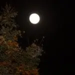 full moon