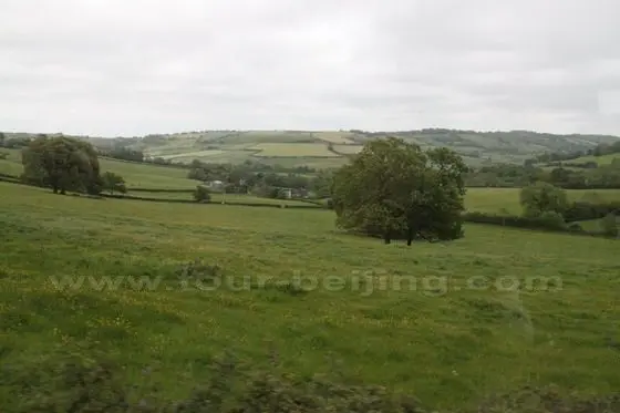 green field