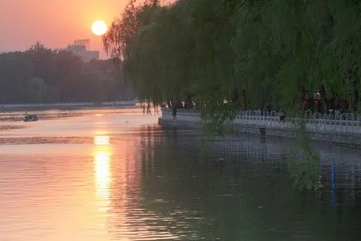 The large orange setting sun above the trees.
