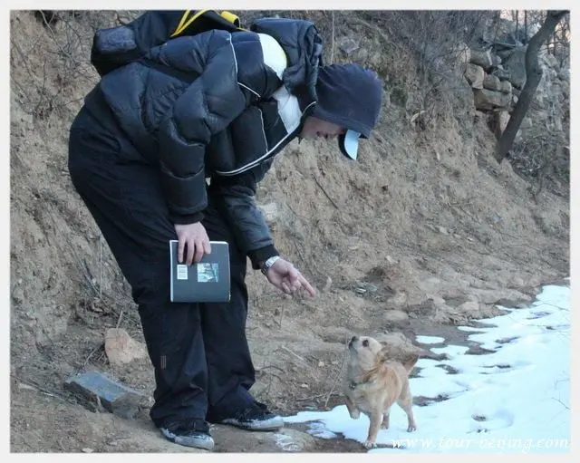 Xiao Hao again bends over to say hello to the dog