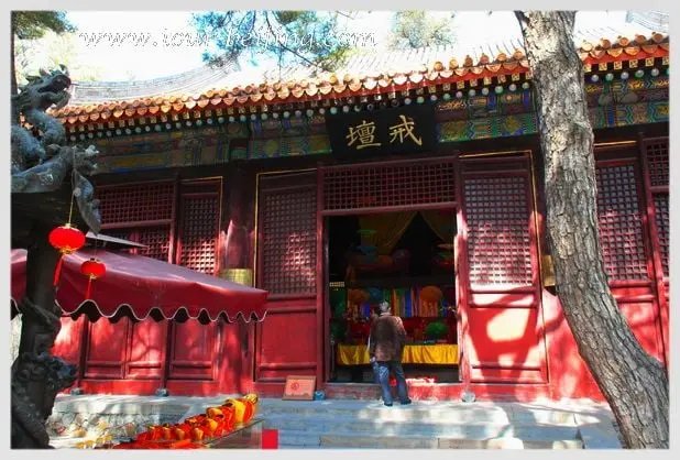 Tanzhe Temple (Tips, Photos & Map)