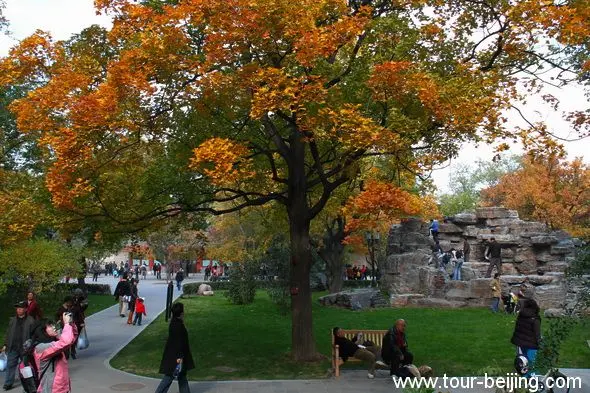 Best Places to See Fall Foliage in Beijing (Tips, Photos & Map)