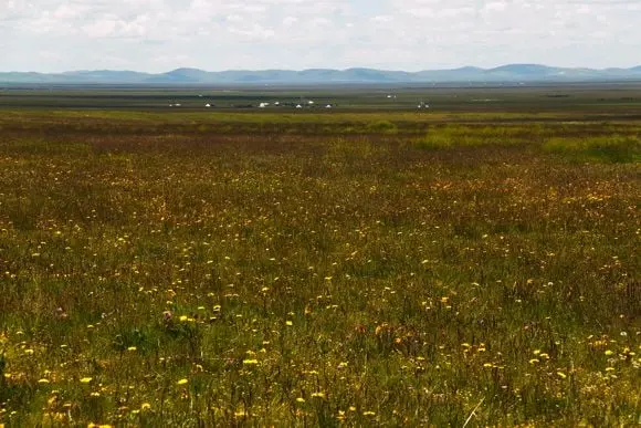 10 Most Beautiful Grasslands in China