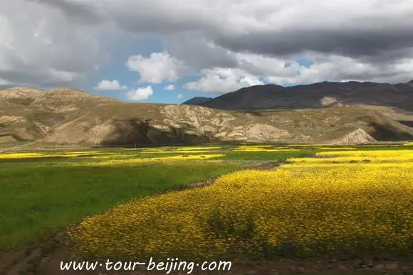 Nagarzê County and Scenic Road Trip to Gyantse