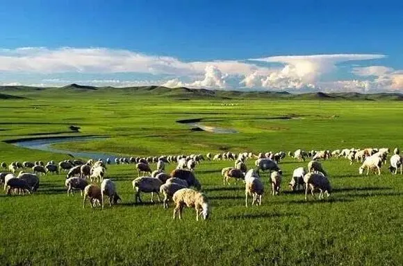 10 Most Beautiful Grasslands in China