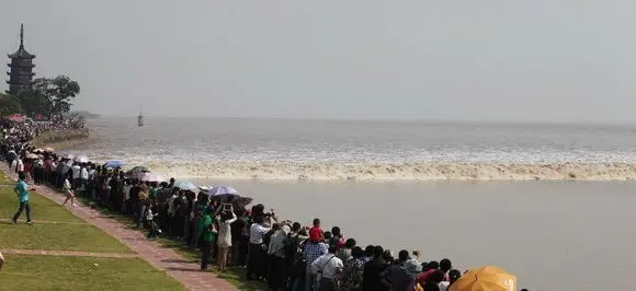 Watching the Qiantang River Tidal Bore ( Photo Credit: www.news.cn)