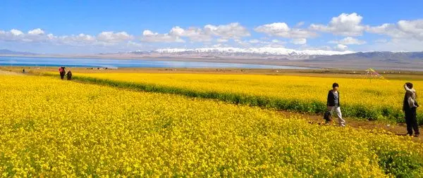 Qinghai Lake in Spring