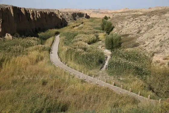 Reed Valley